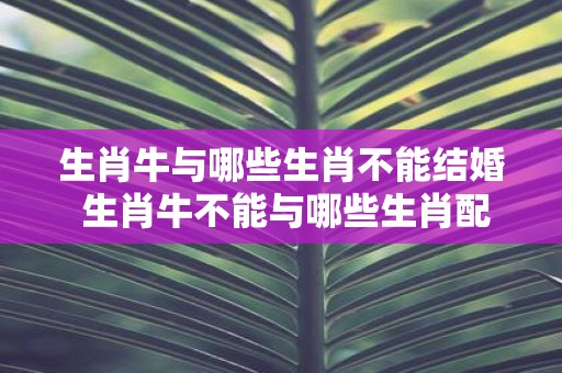 生肖牛与哪些生肖不能结婚 生肖牛不能与哪些生肖配对