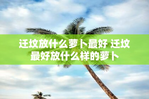 迁坟放什么萝卜最好 迁坟最好放什么样的萝卜
