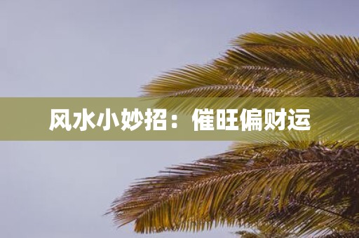 风水小妙招：催旺偏财运