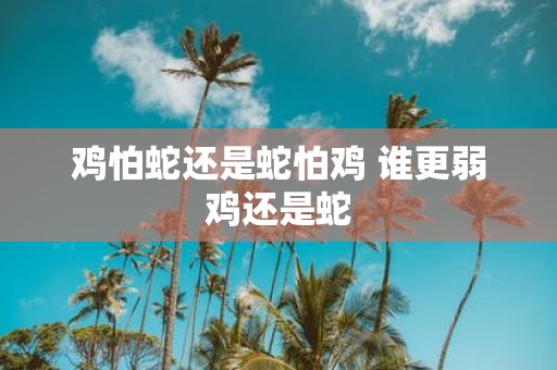 鸡怕蛇还是蛇怕鸡 谁更弱鸡还是蛇
