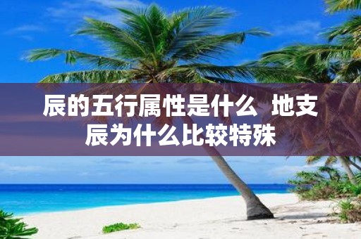 辰的五行属性是什么 地支辰为什么比较特殊