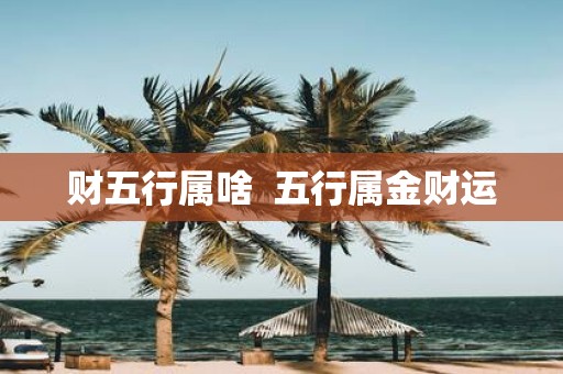 财五行属啥 五行属金财运
