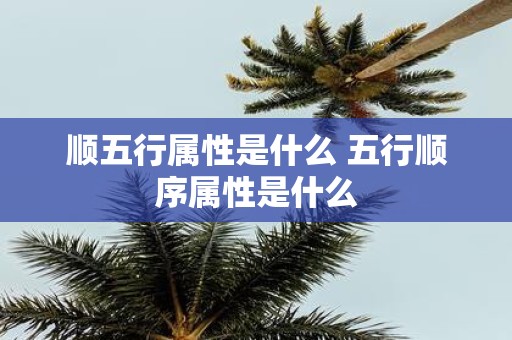 顺五行属性是什么 五行顺序属性是什么