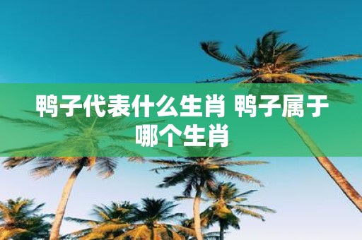 鸭子代表什么生肖 鸭子属于哪个生肖