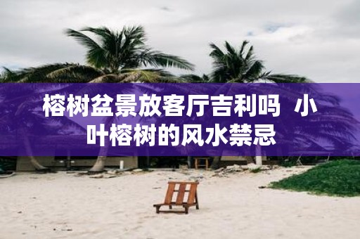 榕树盆景放客厅吉利吗 小叶榕树的风水禁忌