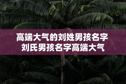 高端大气的刘姓男孩名字 刘氏男孩名字高端大气