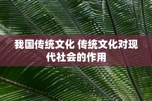 我国传统文化 传统文化对现代社会的作用