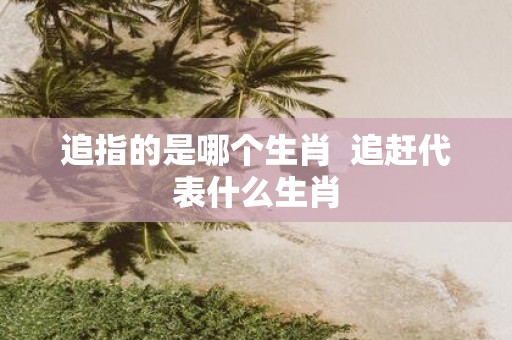 追指的是哪个生肖 追赶代表什么生肖
