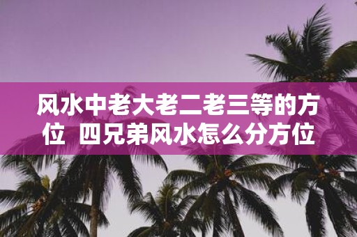 风水中老大老二老三等的方位 四兄弟风水怎么分方位