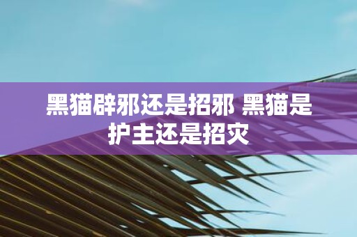 黑猫辟邪还是招邪 黑猫是护主还是招灾