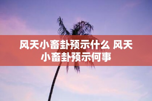 风天小畜卦预示什么 风天小畜卦预示何事