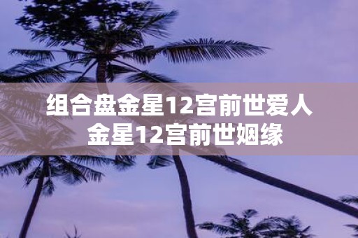 组合盘金星12宫前世爱人 金星12宫前世姻缘