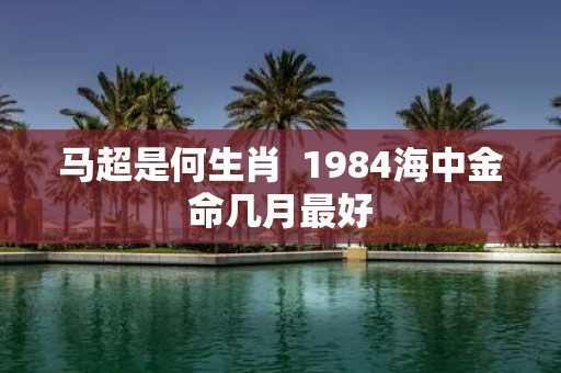 马超是何生肖 1984海中金命几月最好