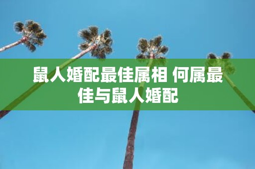 鼠人婚配最佳属相 何属最佳与鼠人婚配