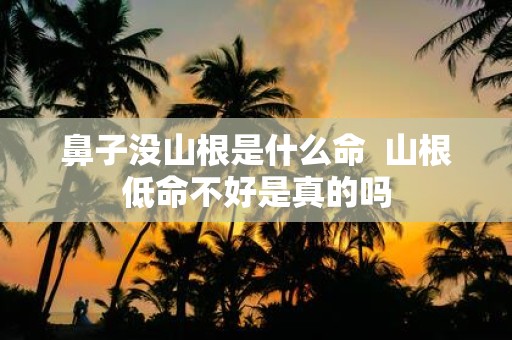 鼻子没山根是什么命 山根低命不好是真的吗