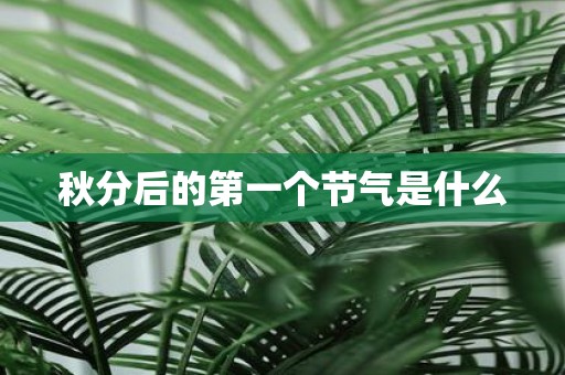 秋分后的第一个节气是什么