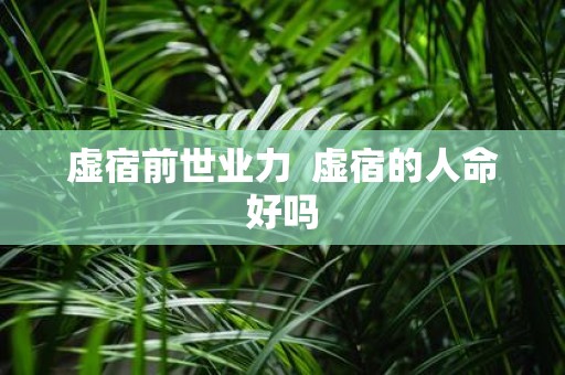 虚宿前世业力 虚宿的人命好吗