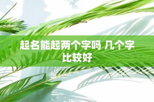 起名能起两个字吗 几个字比较好