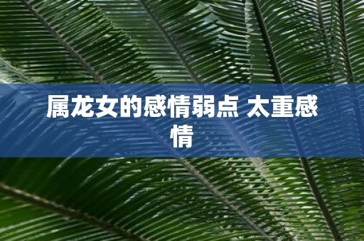 属龙女的感情弱点 太重感情