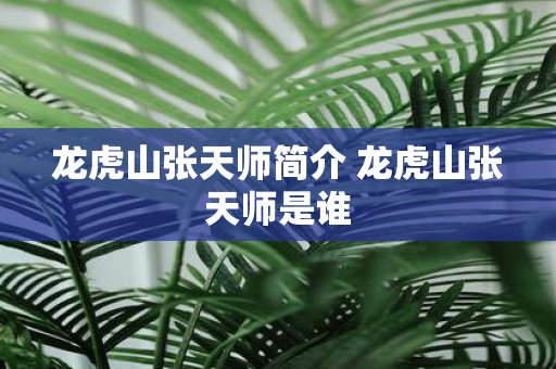 龙虎山张天师简介 龙虎山张天师是谁