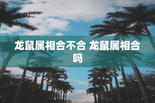 龙鼠属相合不合 龙鼠属相合吗