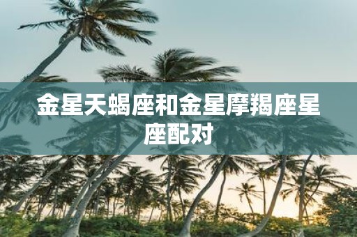 金星天蝎座和金星摩羯座星座配对