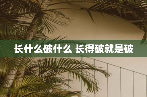 长什么破什么 长得破就是破