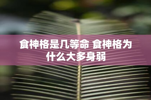 食神格是几等命 食神格为什么大多身弱