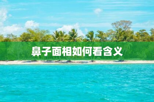 鼻子面相如何看含义