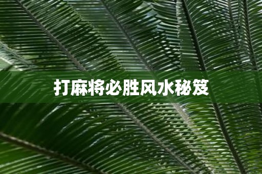 打麻将必胜风水秘笈
