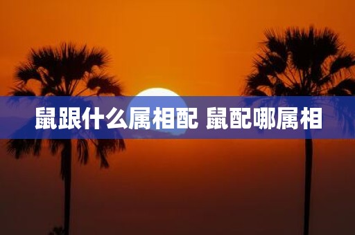 鼠跟什么属相配 鼠配哪属相