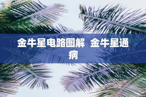 金牛星电路图解 金牛星通病