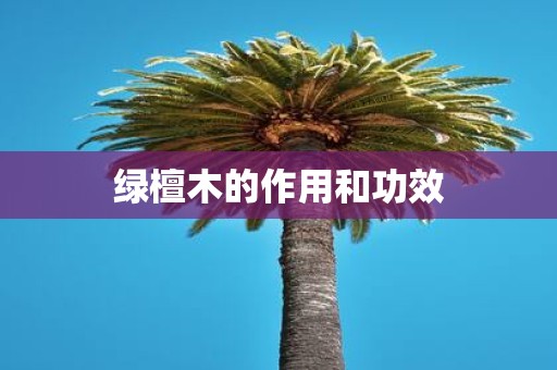 绿檀木的作用和功效