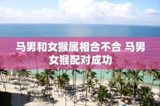 马男和女猴属相合不合 马男女猴配对成功