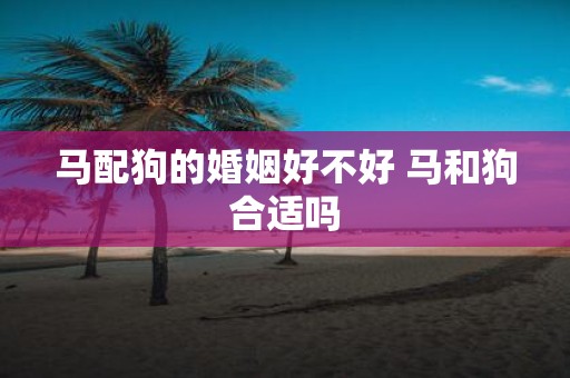 马配狗的婚姻好不好 马和狗合适吗