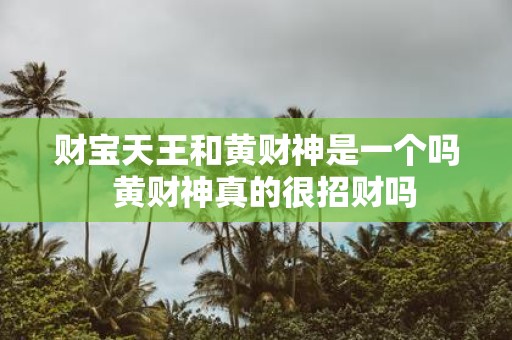 财宝天王和黄财神是一个吗 黄财神真的很招财吗