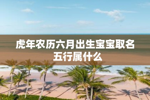 虎年农历六月出生宝宝取名 五行属什么