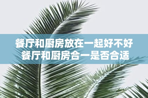 餐厅和厨房放在一起好不好 餐厅和厨房合一是否合适