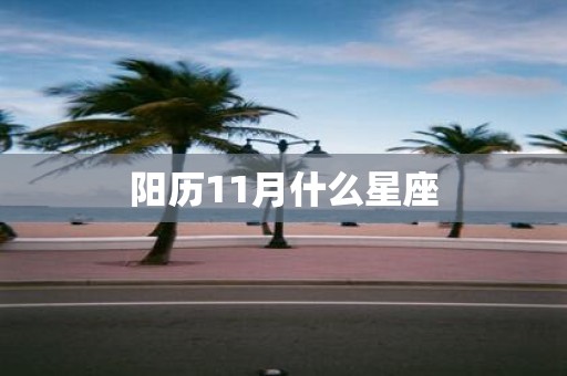 阳历11月什么星座