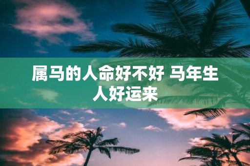 属马的人命好不好 马年生人好运来