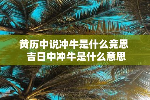 黄历中说冲牛是什么竞思 吉日中冲牛是什么意思