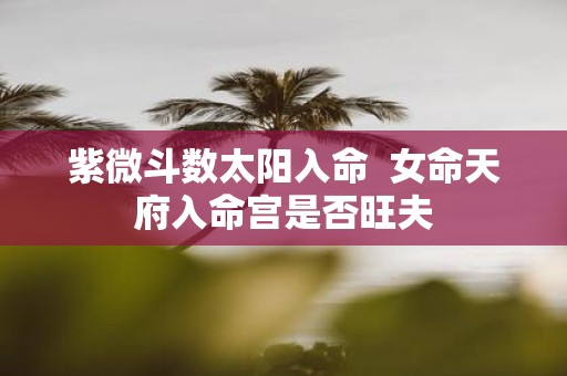 紫微斗数太阳入命  女命天府入命宫是否旺夫