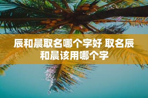 辰和晨取名哪个字好 取名辰和晨该用哪个字