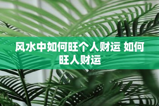 风水中如何旺个人财运 如何旺人财运