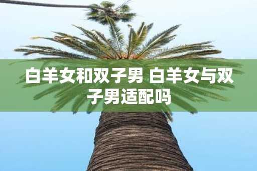白羊女和双子男 白羊女与双子男适配吗