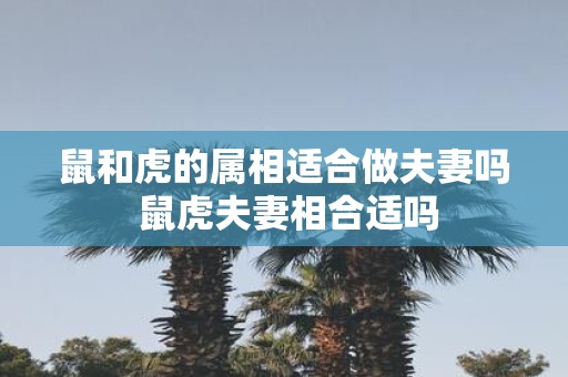 鼠和虎的属相适合做夫妻吗 鼠虎夫妻相合适吗