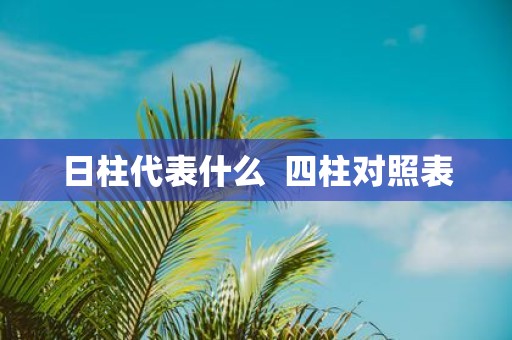 日柱代表什么 四柱对照表