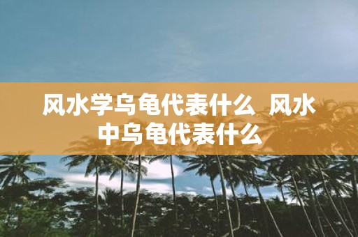 风水学乌龟代表什么 风水中乌龟代表什么