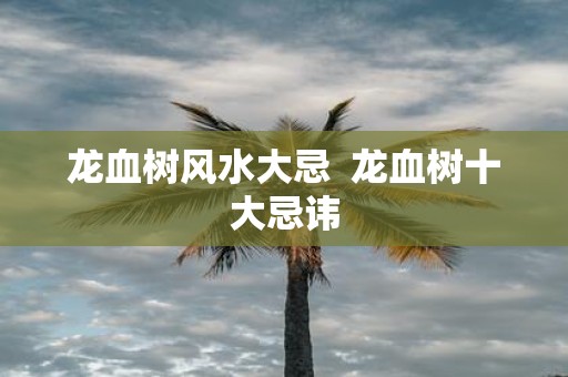 龙血树风水大忌 龙血树十大忌讳