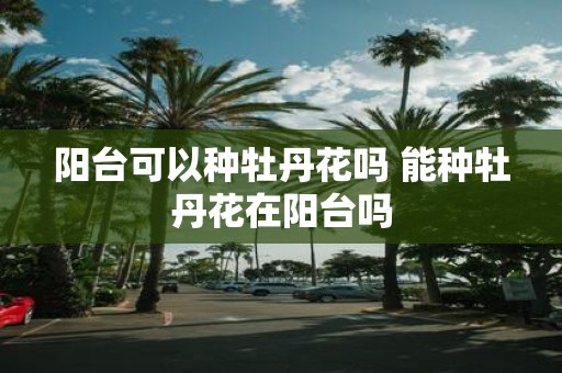 阳台可以种牡丹花吗 能种牡丹花在阳台吗